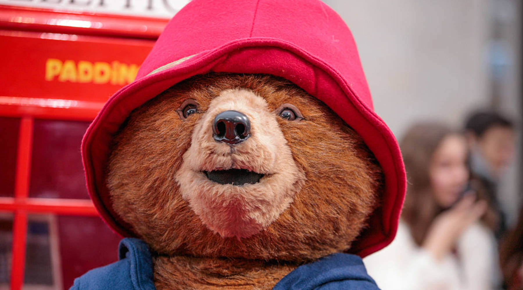 paddington bear toy big w