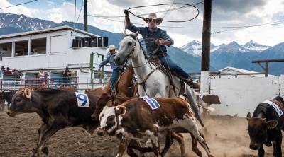 Rodeo On The Rebound Marketplace