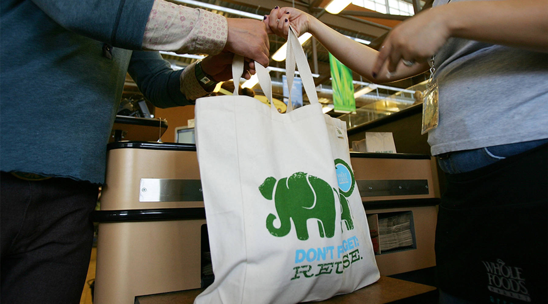 The Greenest Grocery Bag 