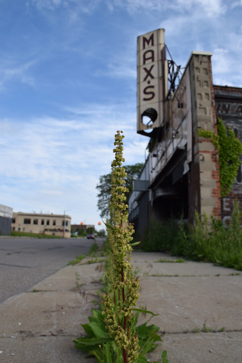 How Auto Plant Closings Chang