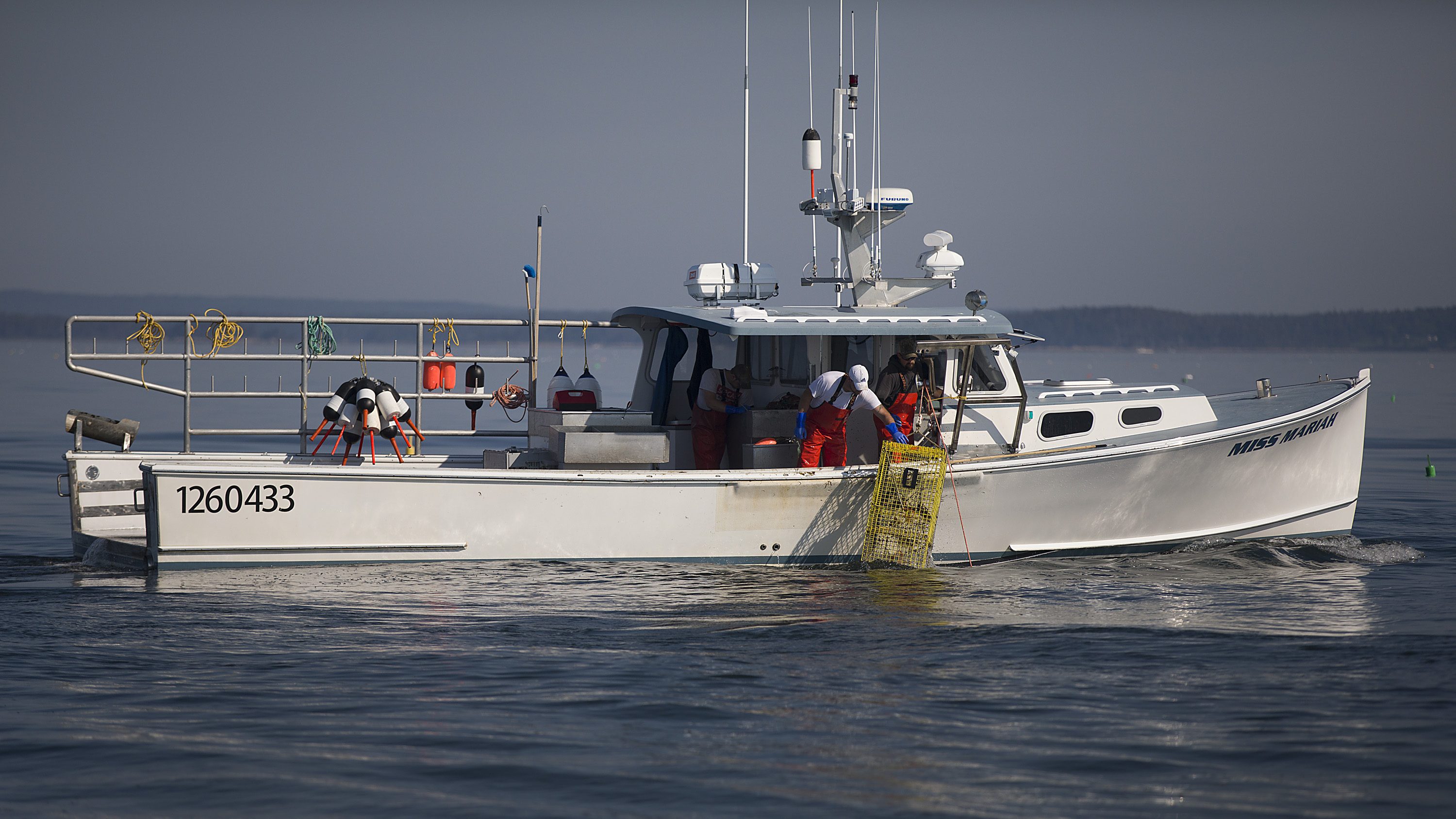 This lobster season, they expected hell, but got high water - Marketplace