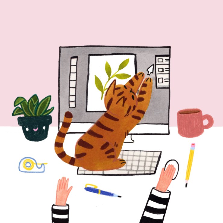 Working from Home with a Cat [Book]