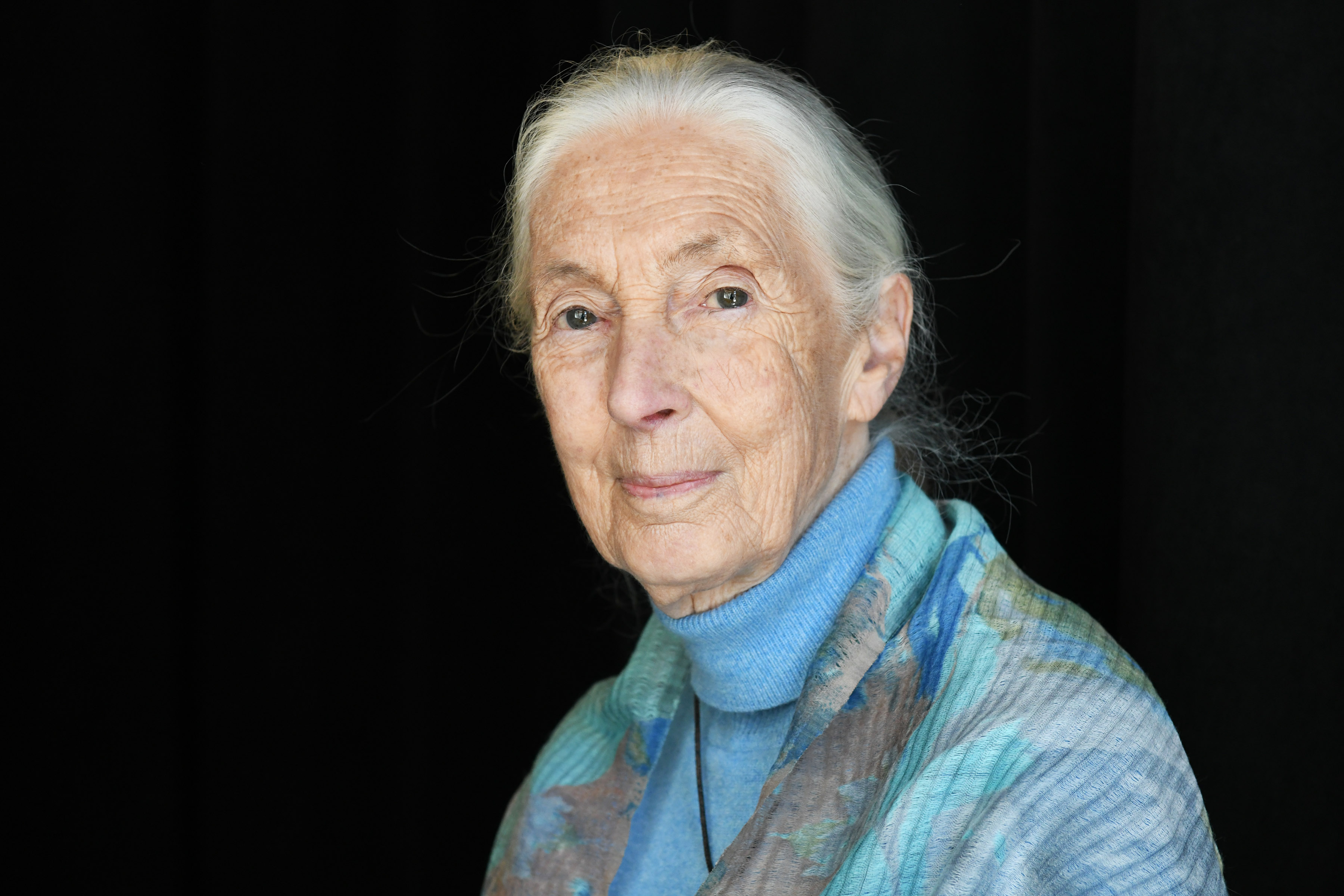 Jane Goodall Wins 2021 Templeton Prize Marketplace 