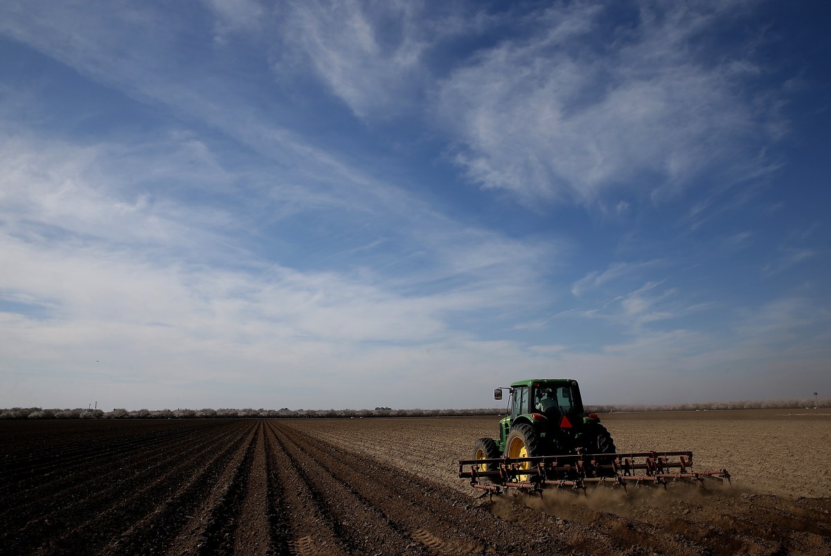 California drought squeezes farmers, threatens food prices – Marketplace