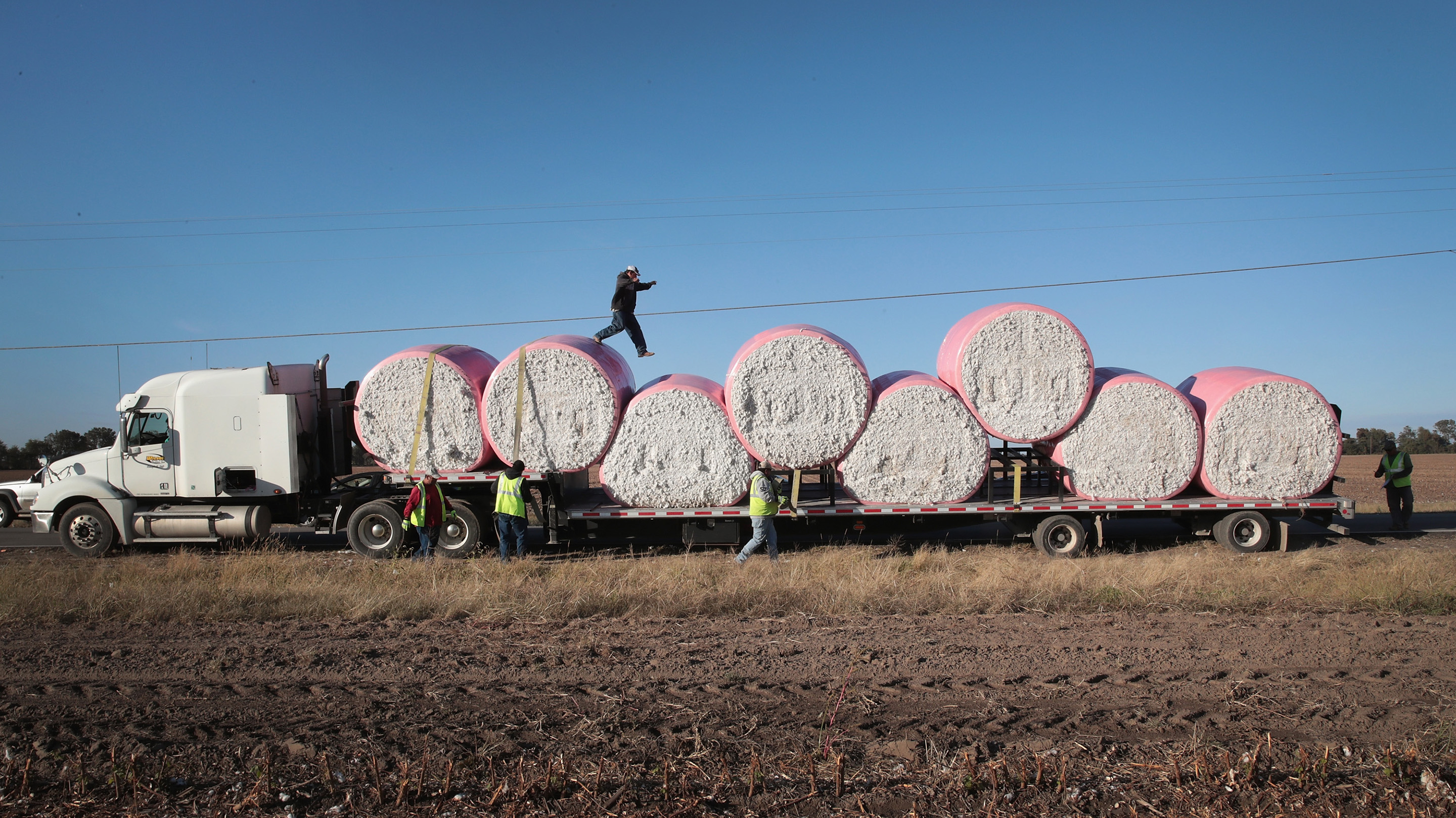 Cotton industry under the pump from climate change