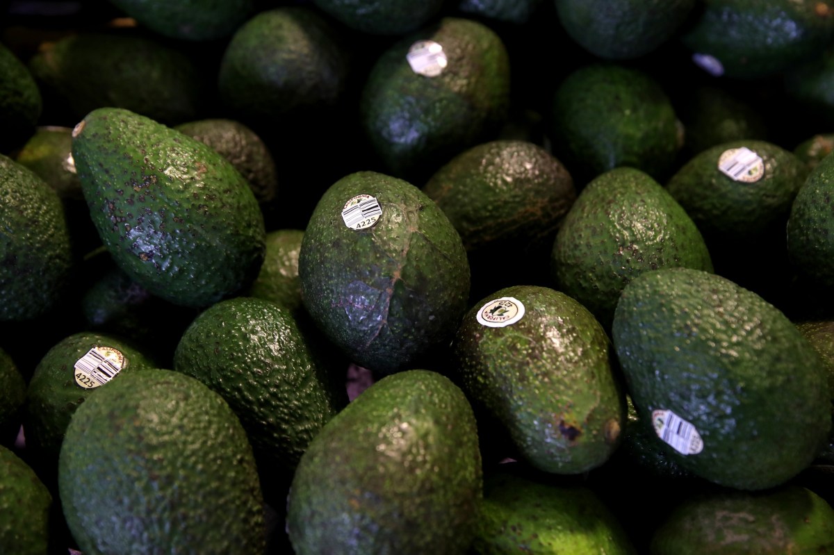 Don't avocado prices ever go down? - Marketplace