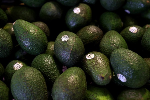 Kitchen Questions: How to Keep a Cut Avocado Fresh?