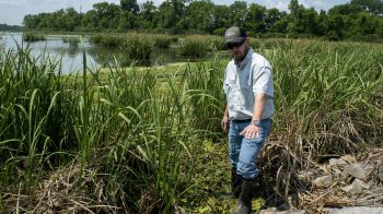 Victoria Gardens, MS Flood Factor®