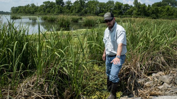 Mississippi Ducks Unlimited