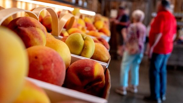 A Ranking of Different Peaches You Find at the Market