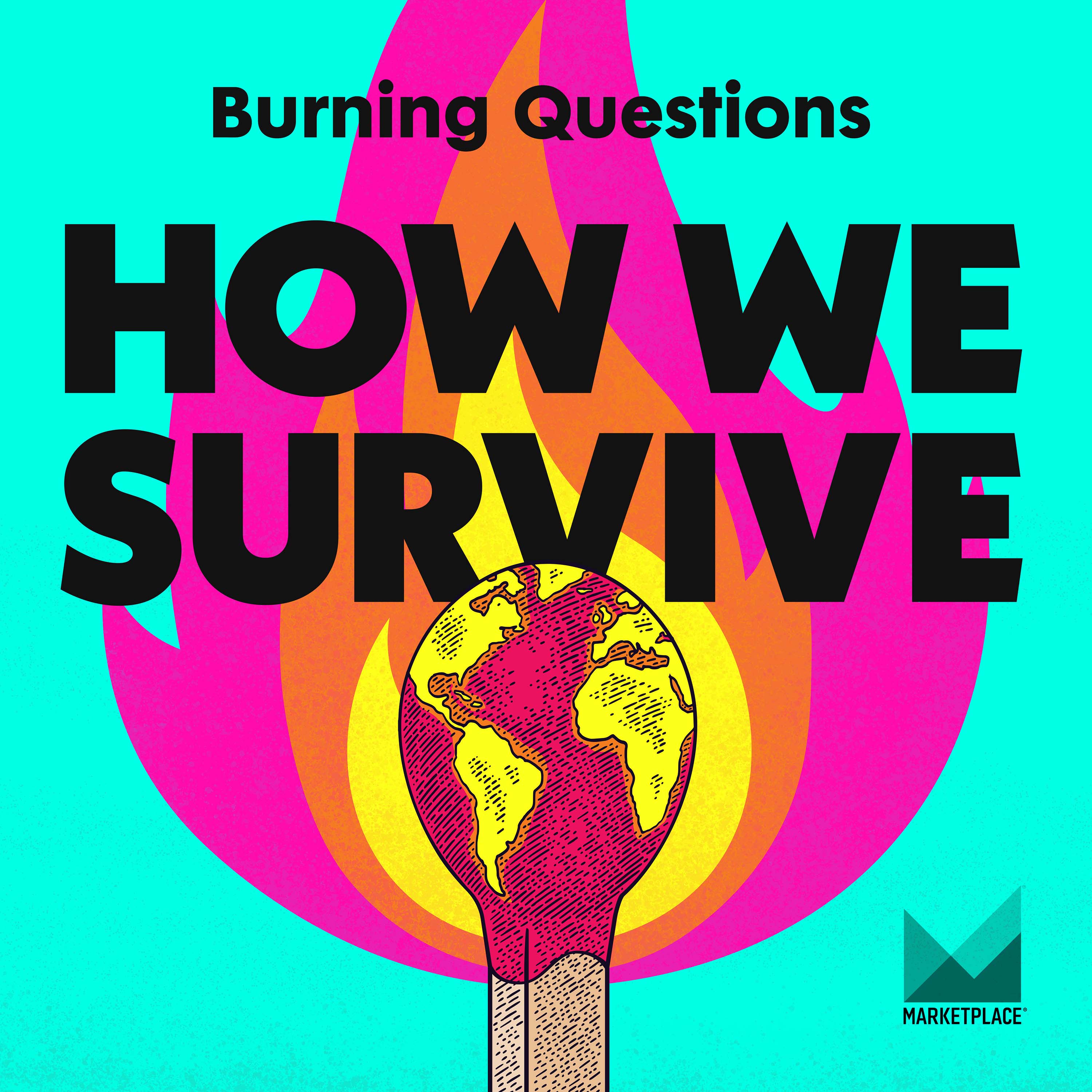 introducing-how-we-survive-s-burning-questions-how-we-survive