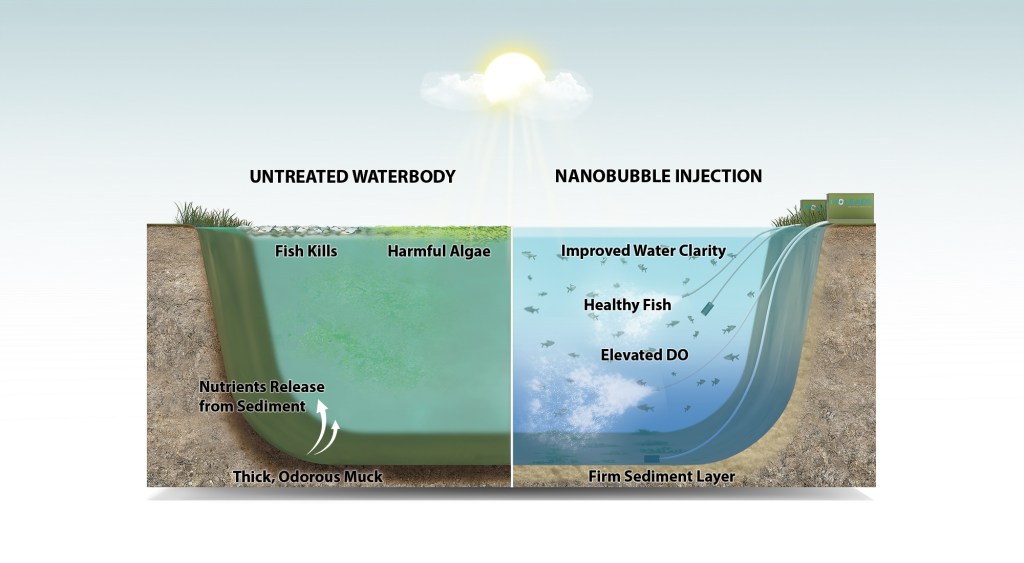 An illustration showing how nanobubble injections improve water clarity and fish health.