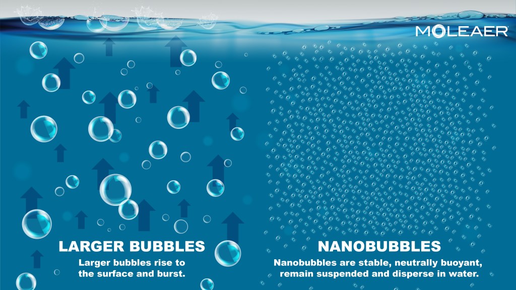 An illustration showing the difference between regular bubbles and nanobubbles in a body of water. The image says "nanobubbles are stable, neutrally buoyant, remain suspended and disperse in water."