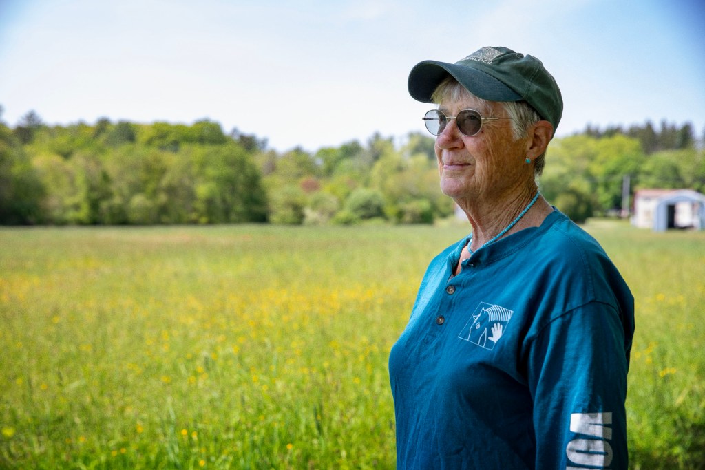 In Massachusetts, land preservation is a waiting game
