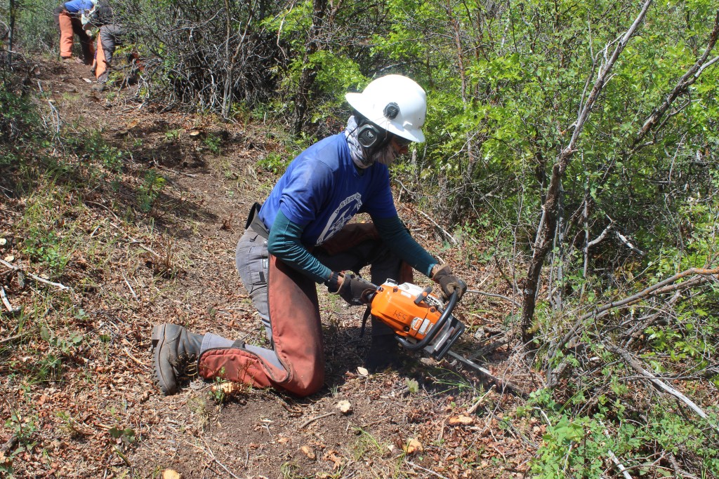 A woman in firefighting gear and a helmet kneels on the ground and holds a chainsaw to the root of a plant.