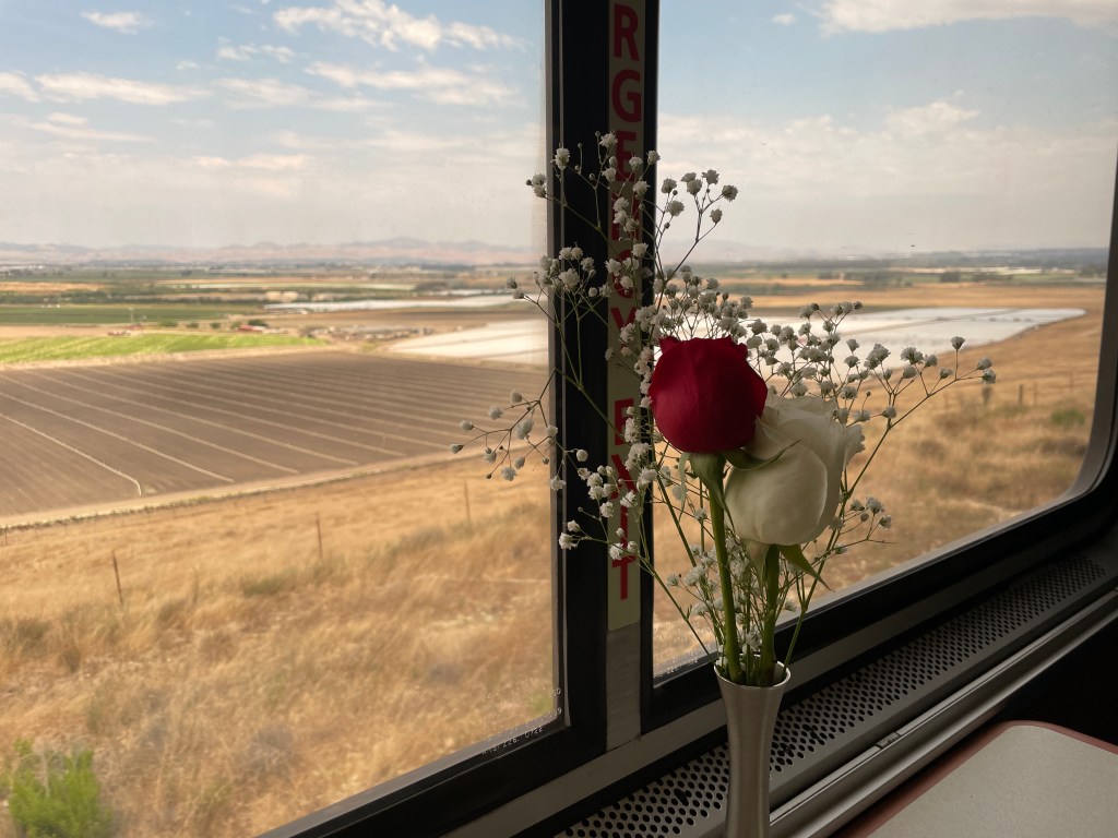 A red rose, a white rose, and smaller white flowers in a vase sit in the window of an Amtrak car.