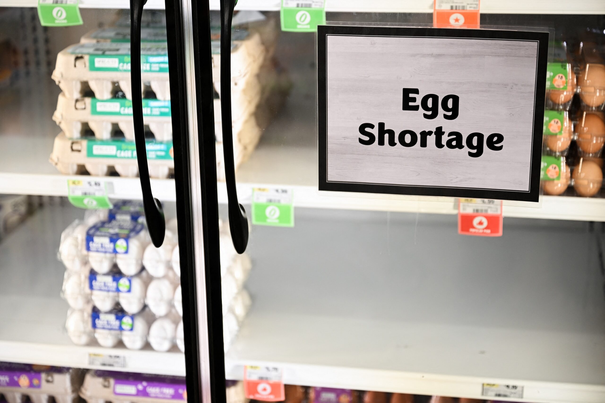 Why you can't find eggs at your grocery store anymore Marketplace